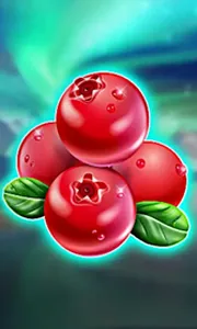Winterberries
